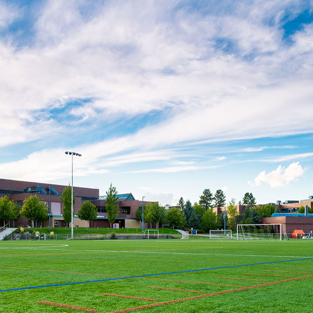 nonis sports field, facility, outdoor, gymnasium